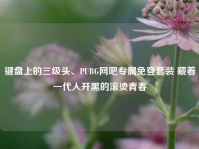 键盘上的三级头、PUBG网吧专属免登套装 藏着一代人开黑的滚烫青春