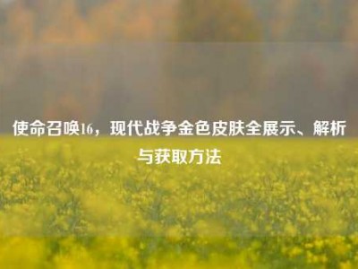 使命召唤16，现代战争金色皮肤全展示、解析与获取方法