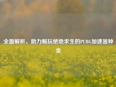 全面解析，助力畅玩绝地求生的PUBG加速器种类