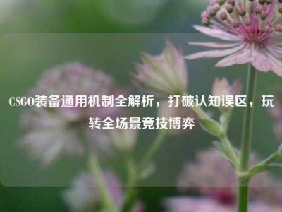 CSGO装备通用机制全解析，打破认知误区，玩转全场景竞技博弈