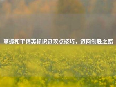 掌握和平精英标识进攻点技巧，迈向制胜之路