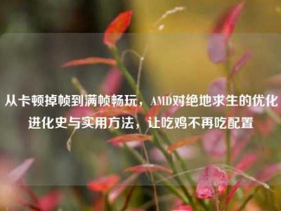 从卡顿掉帧到满帧畅玩，AMD对绝地求生的优化进化史与实用方法，让吃鸡不再吃配置