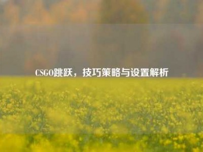 CSGO跳跃，技巧策略与设置解析