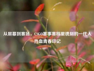 从屏幕到赛场，CSGO赛事赛程里镌刻的一代人热血青春印记