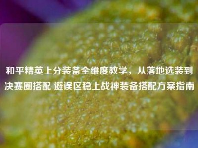 和平精英上分装备全维度教学，从落地选装到决赛圈搭配 避误区稳上战神装备搭配方案指南