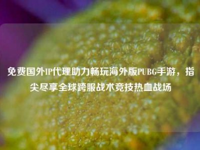 免费国外IP代理助力畅玩海外版PUBG手游，指尖尽享全球跨服战术竞技热血战场