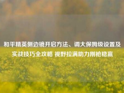 和平精英侧边镜开启方法、调大保姆级设置及实战技巧全攻略 视野拉满助力刚枪稳赢