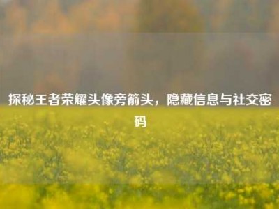 探秘王者荣耀头像旁箭头，隐藏信息与社交密码