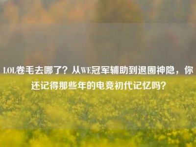 LOL卷毛去哪了？从WE冠军辅助到退圈神隐，你还记得那些年的电竞初代记忆吗？
