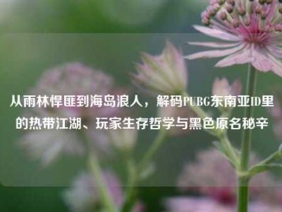从雨林悍匪到海岛浪人，解码PUBG东南亚ID里的热带江湖、玩家生存哲学与黑色原名秘辛