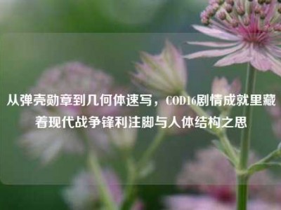 从弹壳勋章到几何体速写，COD16剧情成就里藏着现代战争锋利注脚与人体结构之思