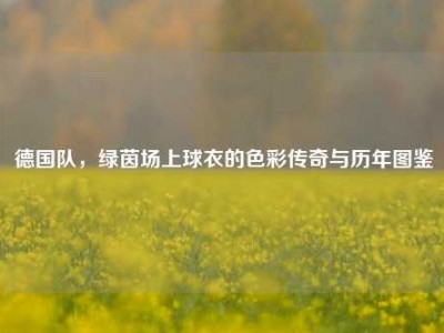 德国队，绿茵场上球衣的色彩传奇与历年图鉴