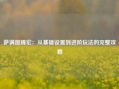 萨满图腾宏：从基础设置到进阶玩法的完整攻略