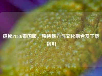 探秘PUBG泰国版，独特魅力与文化融合及下载指引