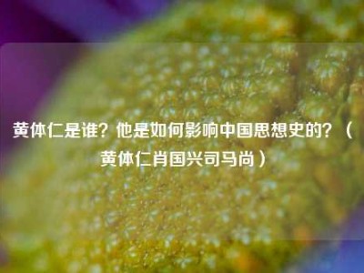黄体仁是谁？他是如何影响中国思想史的？（黄体仁肖国兴司马尚）