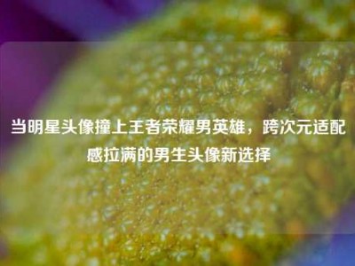 当明星头像撞上王者荣耀男英雄，跨次元适配感拉满的男生头像新选择