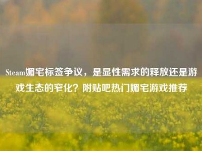 Steam媚宅标签争议，是显性需求的释放还是游戏生态的窄化？附贴吧热门媚宅游戏推荐