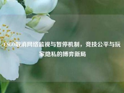 CSGO取消网络监视与暂停机制，竞技公平与玩家隐私的博弈新局