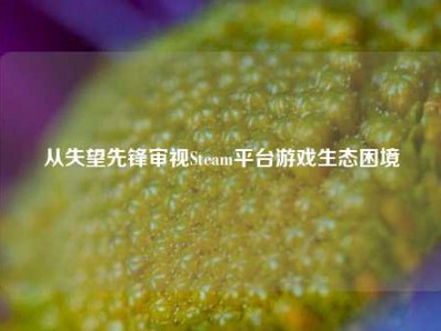 从失望先锋审视Steam平台游戏生态困境