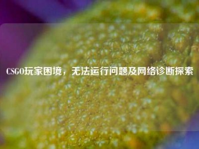 CSGO玩家困境，无法运行问题及网络诊断探索