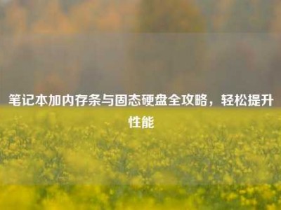 笔记本加内存条与固态硬盘全攻略，轻松提升性能