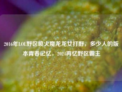 2016年LOL野区喷火魔龙龙女打野，多少人的版本青春记忆，2024再忆野区霸主