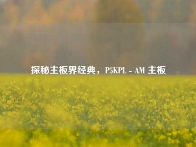 探秘主板界经典，P5KPL - AM 主板