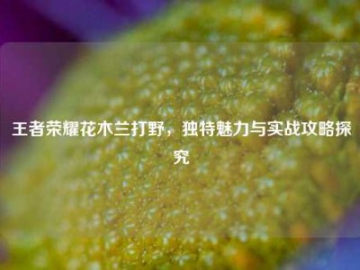 王者荣耀花木兰打野，独特魅力与实战攻略探究