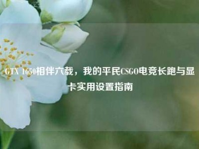 GTX 1650相伴六载，我的平民CSGO电竞长跑与显卡实用设置指南