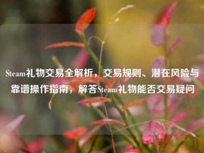 Steam礼物交易全解析，交易规则、潜在风险与靠谱操作指南，解答Steam礼物能否交易疑问