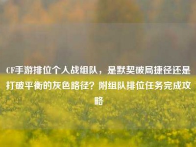 CF手游排位个人战组队，是默契破局捷径还是打破平衡的灰色路径？附组队排位任务完成攻略