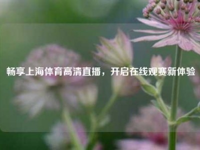 畅享上海体育高清直播，开启在线观赛新体验