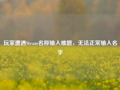 玩家遭遇Steam名称输入难题，无法正常输入名字