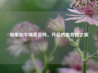 探索和平精英官网，开启热血竞技之旅