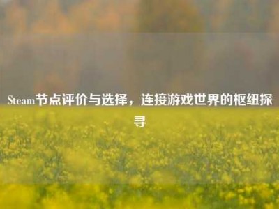 Steam节点评价与选择，连接游戏世界的枢纽探寻