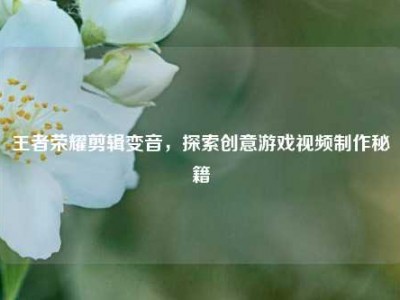 王者荣耀剪辑变音，探索创意游戏视频制作秘籍