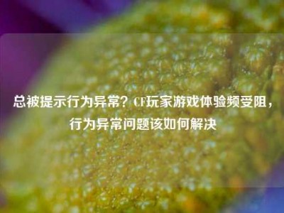 总被提示行为异常？CF玩家游戏体验频受阻，行为异常问题该如何解决