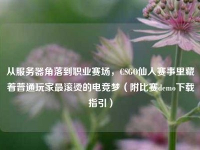 从服务器角落到职业赛场，CSGO仙人赛事里藏着普通玩家最滚烫的电竞梦（附比赛demo下载指引）