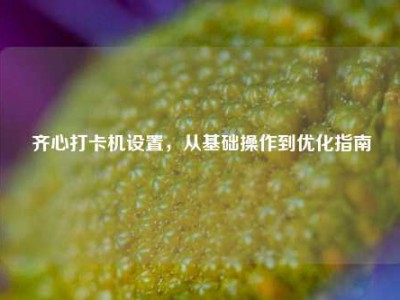 齐心打卡机设置，从基础操作到优化指南