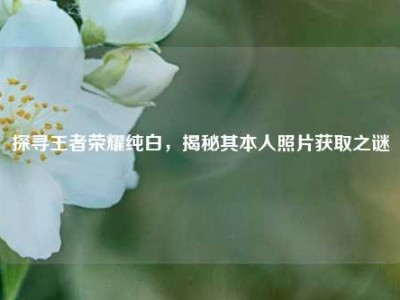 探寻王者荣耀纯白，揭秘其本人照片获取之谜