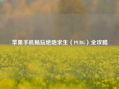 苹果手机畅玩绝地求生（PUBG）全攻略
