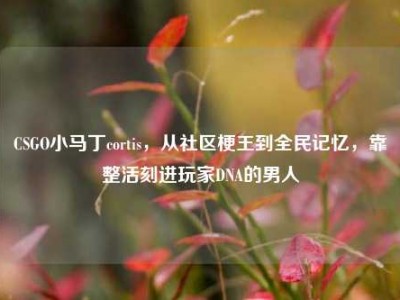 CSGO小马丁cortis，从社区梗王到全民记忆，靠整活刻进玩家DNA的男人