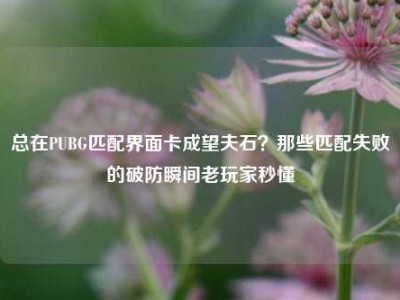 总在PUBG匹配界面卡成望夫石？那些匹配失败的破防瞬间老玩家秒懂