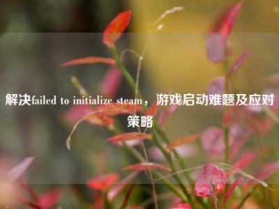 解决failed to initialize steam，游戏启动难题及应对策略