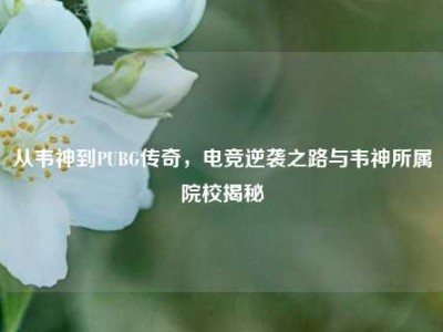 从韦神到PUBG传奇，电竞逆袭之路与韦神所属院校揭秘