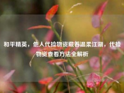 和平精英，他人代捡物资藏着温柔江湖，代捡物资查看方法全解析