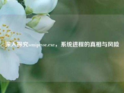 深入探究wmiprvse.exe，系统进程的真相与风险