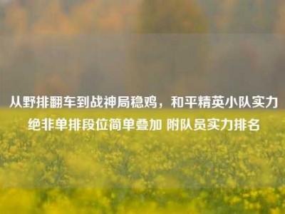 从野排翻车到战神局稳鸡，和平精英小队实力绝非单排段位简单叠加 附队员实力排名