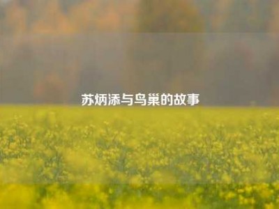 苏炳添与鸟巢的故事