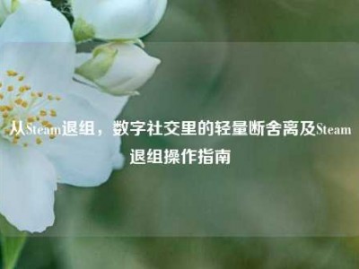 从Steam退组，数字社交里的轻量断舍离及Steam退组操作指南